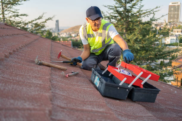 Best Fiber Cement Siding Installation  in Los Ranchos, CA